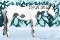 Horse Color:Smoky Black Sabino Splash Tobiano Rabicano