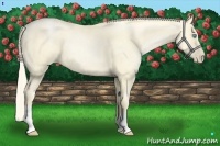 Horse Color:Palomino Pearl Dun 