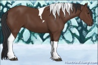 Horse Color:Bay Tobiano 