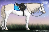 Horse Color:Perlino Splash