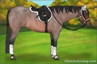 Horse Color:Bay Roan 