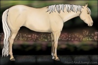 Horse Color:Silver Bay Pearl Dun
