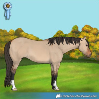 Horse Color:Bay Dun