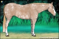 Horse Color:Chestnut Ice Sabino Splash Rabicano 