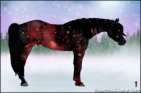 Horse Color:ERROR: UNKNOWN ANOMALY Brindle