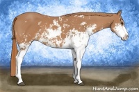 Horse Color:Chestnut Sabino