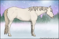 Horse Color:Smoky Creme Roan Dun 