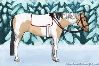 Horse Color:Bay Roan Dun Tobiano