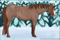 Horse Color:Red Roan Splash 