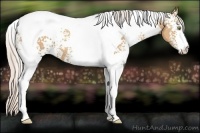 Horse Color:White Spotted Silver Amber Champagne Tobiano