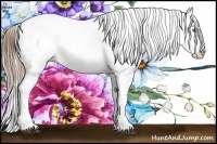 Horse Color:Brown Pearl Appaloosa Rabicano