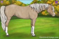 Horse Color:Silver Buckskin Roan Splash 