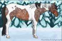 Horse Color:Bay Ice Roan Tobiano 