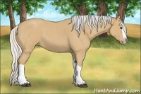 Horse Color:Silver Buckskin Roan Splash