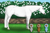 Horse Color:Gray Bay Dun Splash Tobiano 