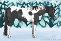 Horse Color:Smoky Black Sabino Tobiano