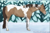 Horse Color:Classic Champagne Tobiano 