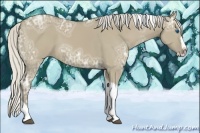 Horse Color:Silver Smoky Grullo Ice Splash Tobiano 