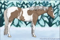 Horse Color:White Spotted Silver Black Tobiano 