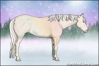 Horse Color:Cremello Sabino  Brindle