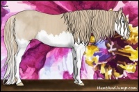Horse Color:Smoky Creme Splash  Brindle