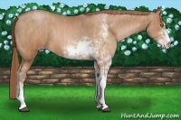 Horse Color:Bay Pearl Sabino  Brindle