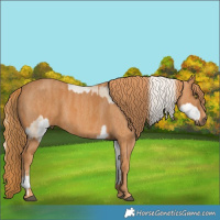 Horse Color:Silver Brown Pearl Dun Sabino  Brindle