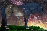 Horse Color:ERROR: UNKNOWN ANOMALY Brindle