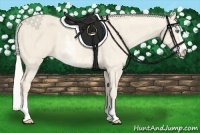 Horse Color:Cremello Sabino  Brindle
