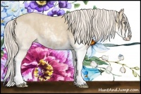 Horse Color:Cremello Sabino  Brindle