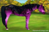 Horse Color:ERROR: UNKNOWN ANOMALY Brindle