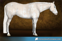Horse Color:Cremello Sabino  Brindle