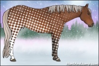 Horse Color:Silver Bay 