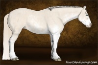Horse Color:Perlino Sabino Brindle