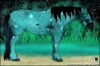 Horse Color:ERROR: UNKNOWN ANOMALY Brindle