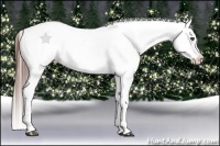 Horse Color:Brown Appaloosa  Brindle