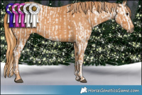 Horse Color:Buckskin Ice Blanket  Brindle