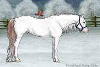 Horse Color:Brown Snowflake Varnish Brindle