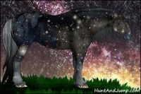 Horse Color:ERROR: UNKNOWN ANOMALY Brindle