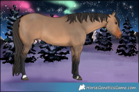 Horse Color:Brown Dun  Brindle