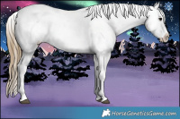 Horse Color:Buckskin Appaloosa  Brindle