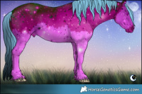 Horse Color:ERROR: UNKNOWN ANOMALY Brindle