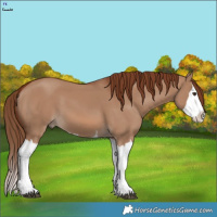 Horse Color:Red Dun Splash  Brindle