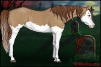 Horse Color:Red Dun Splash  Brindle