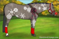 Horse Color:Grullo Ice  Brindle