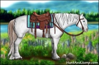 Horse Color:Red Dun Splash Appaloosa  Brindle