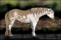 Horse Color:Liver Red Dun Ice Splash  Brindle