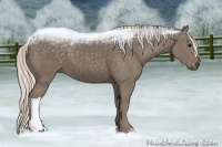 Horse Color:Silver Smoky Black