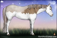 Horse Color:Liver Red Dun Splash  Brindle