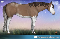 Horse Color:Liver Red Dun Splash  Brindle